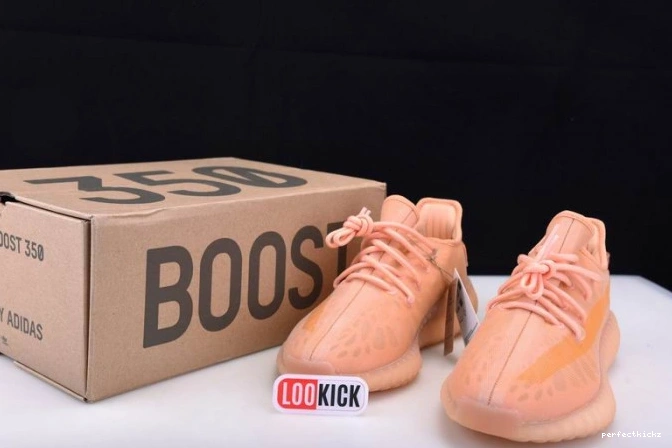 Yeezy Boost GW2870 
